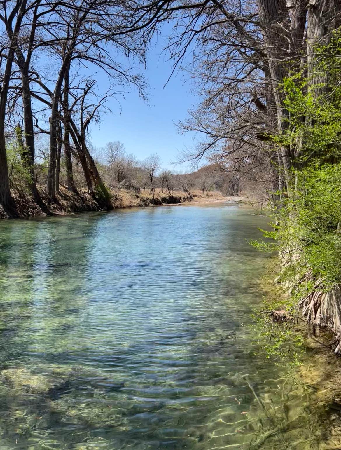 Camper-submitted photo at River Yurt Village and RV Resort near Bandera, TX