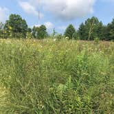 Review photo of Dunewood Campground — Indiana Dunes National Park by Joel R., October 16, 2018