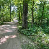 Review photo of Wild River State Park Campground by Dave M., June 11, 2023