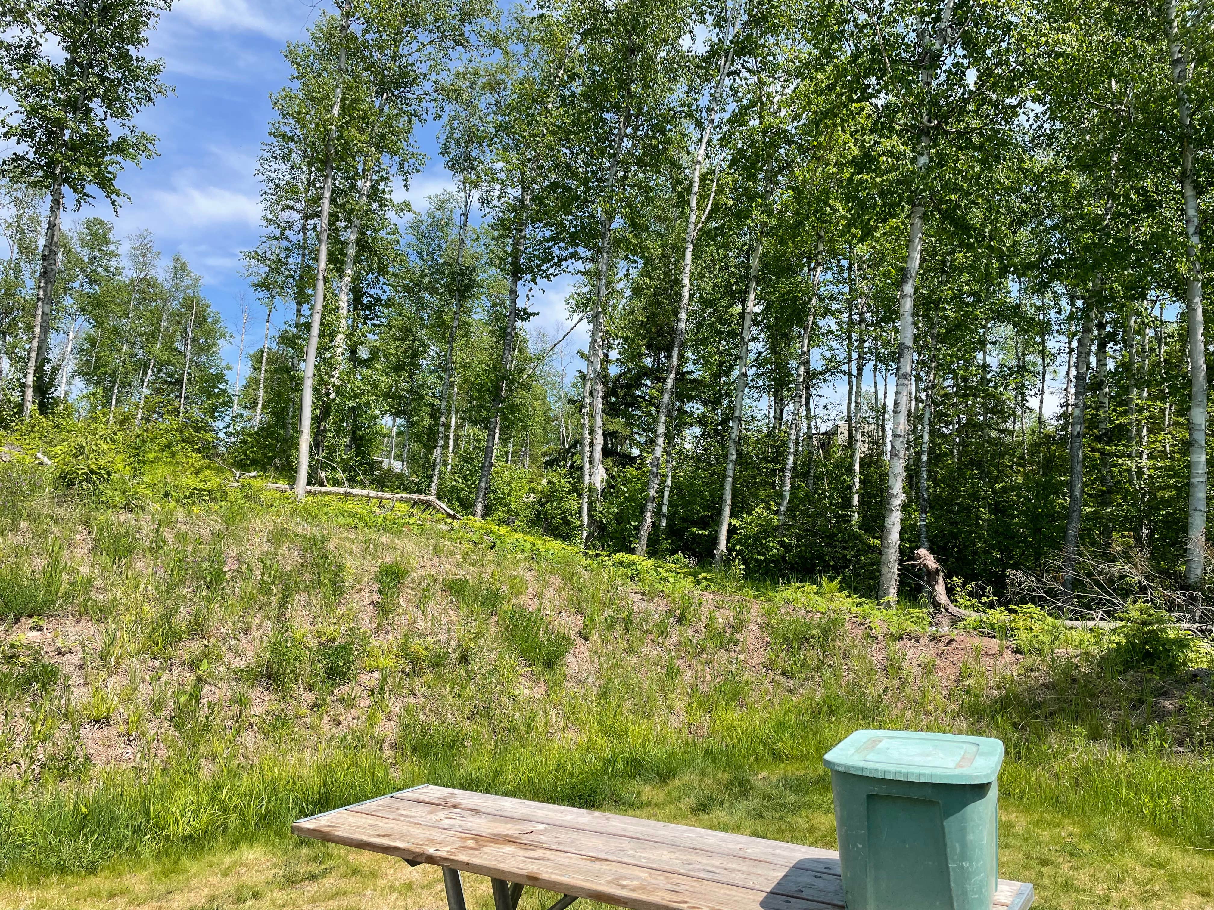 Camper submitted image from Shipwreck Creek Campground — Split Rock Lighthouse State Park - 2