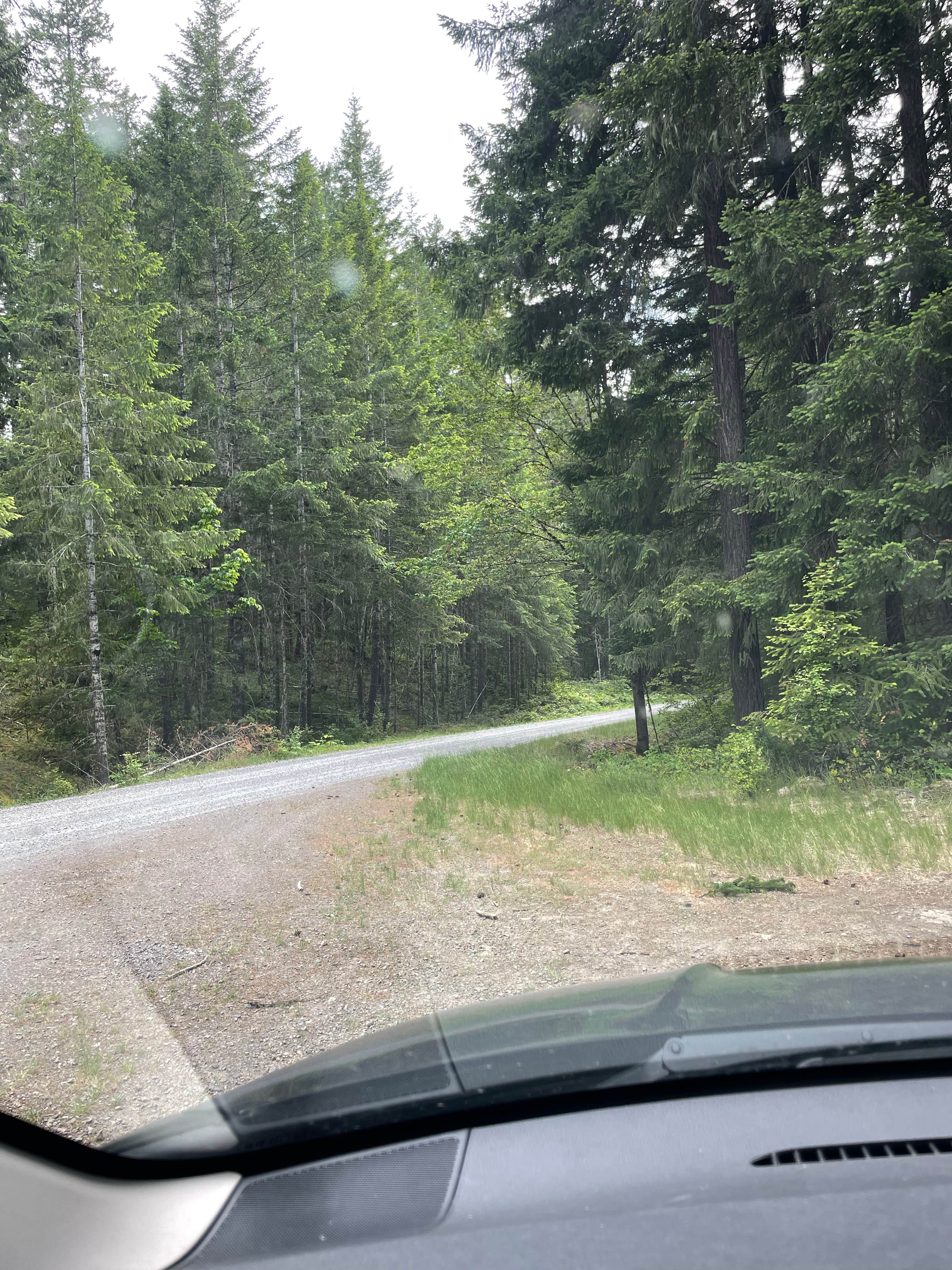 Camper-submitted photo at Sluice Creek Dispersed Spot near Paradise, WA
