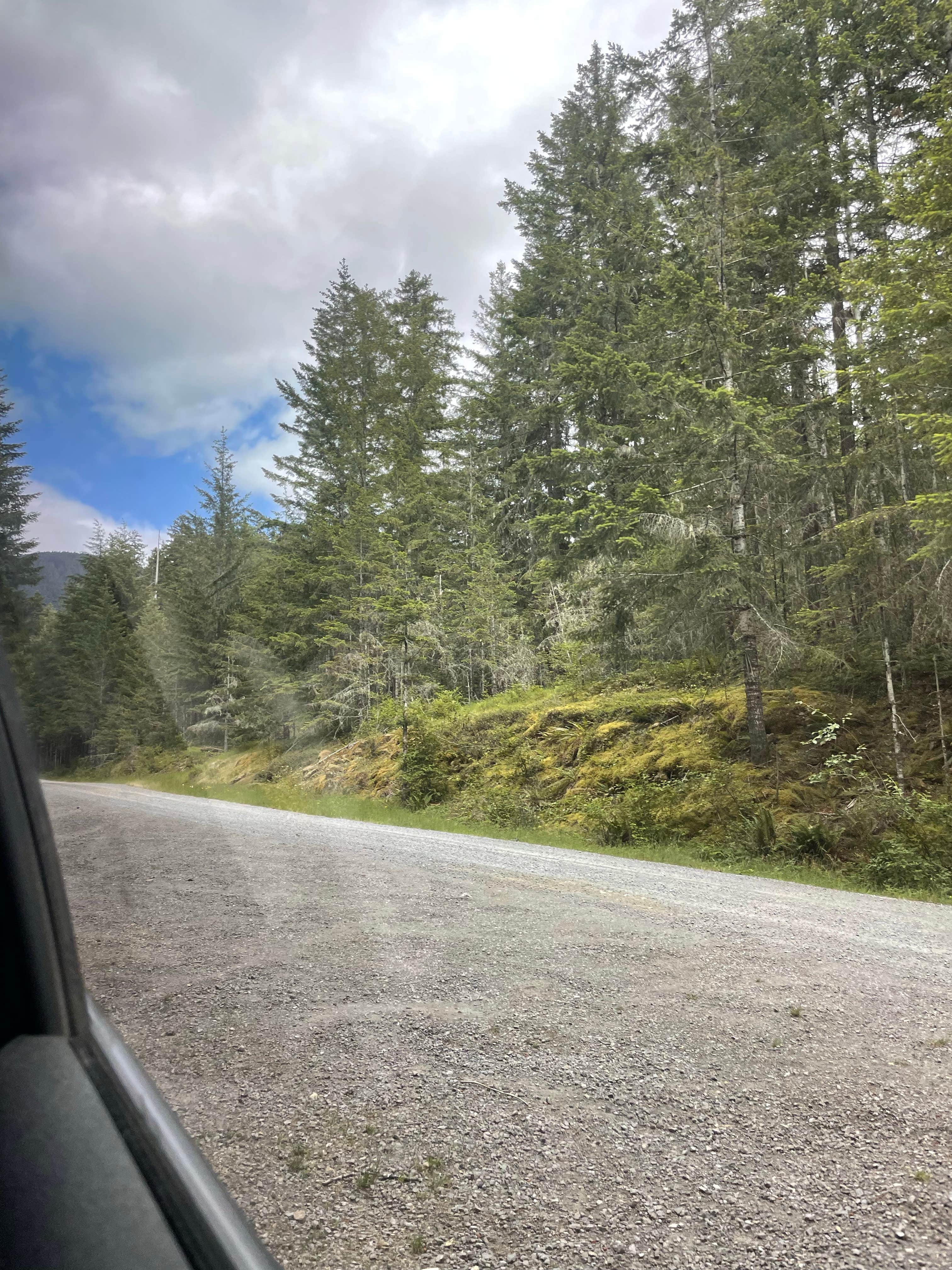 Camper-submitted photo at Sluice Creek Dispersed Spot near Paradise, WA
