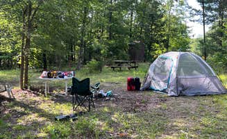 Matt M.'s photo at Kaleidoscope Farm near Lexington, SC