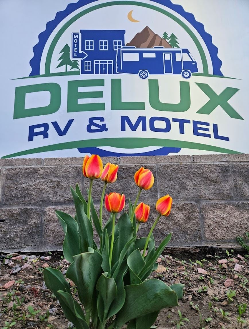 Camper submitted image from Delux RV & Motel - 2