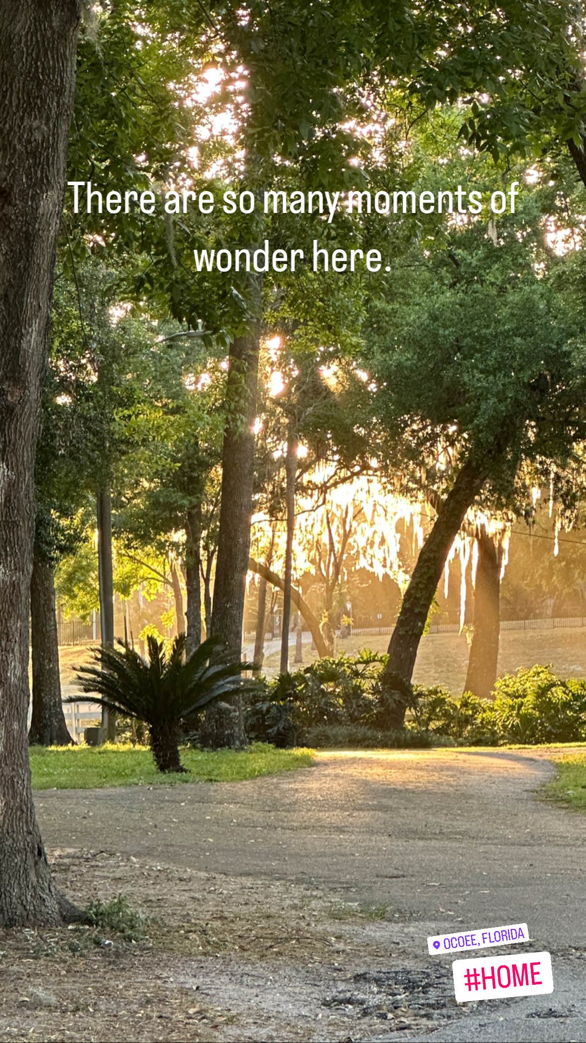 Camping near Camp Wewa: Ladybug Lane, Clarcona, Florida