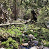 Review photo of Mill Creek Trailhead & Campground by Jessica S., June 15, 2023