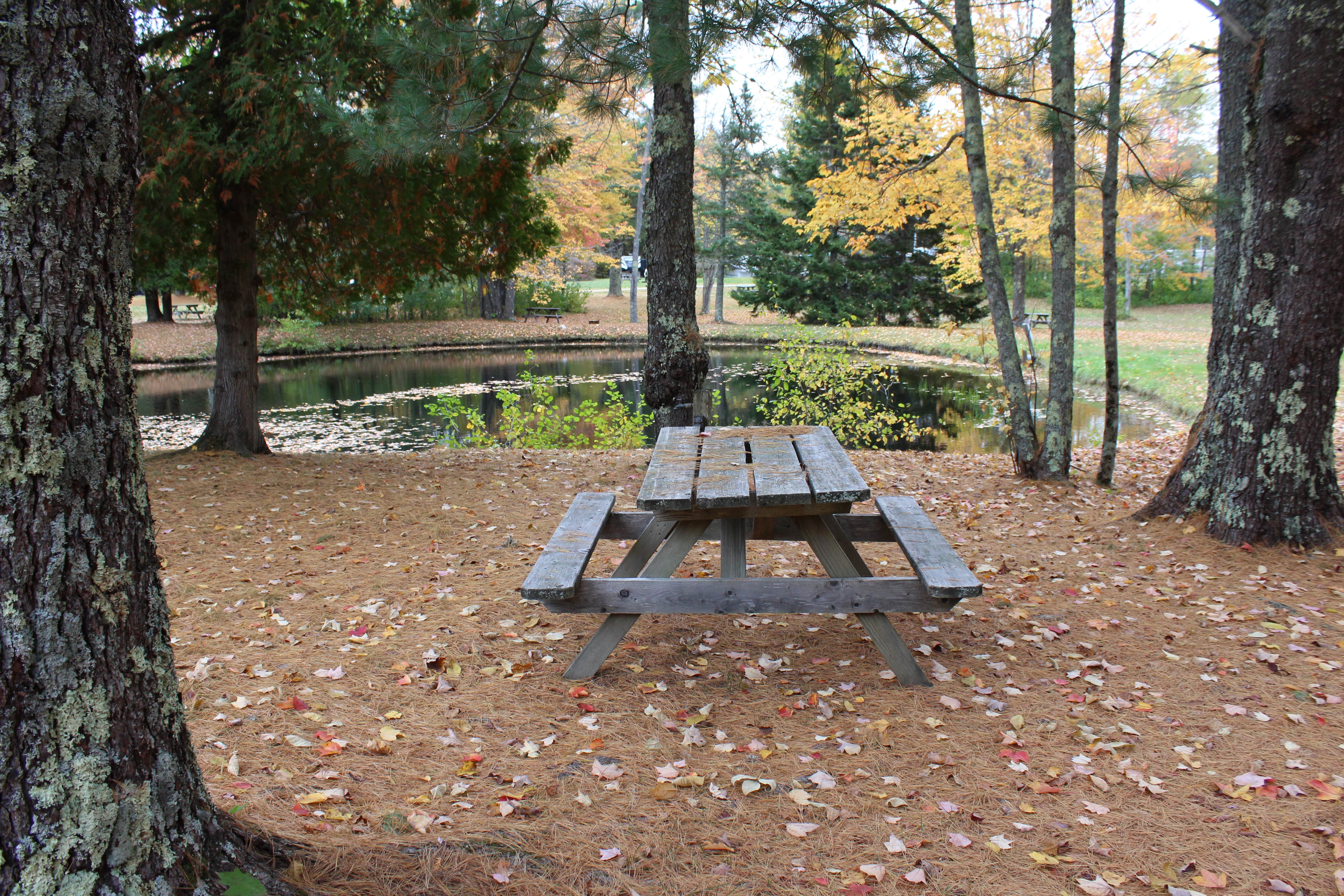 Camper-submitted photo at Northport Campground near Belfast, ME