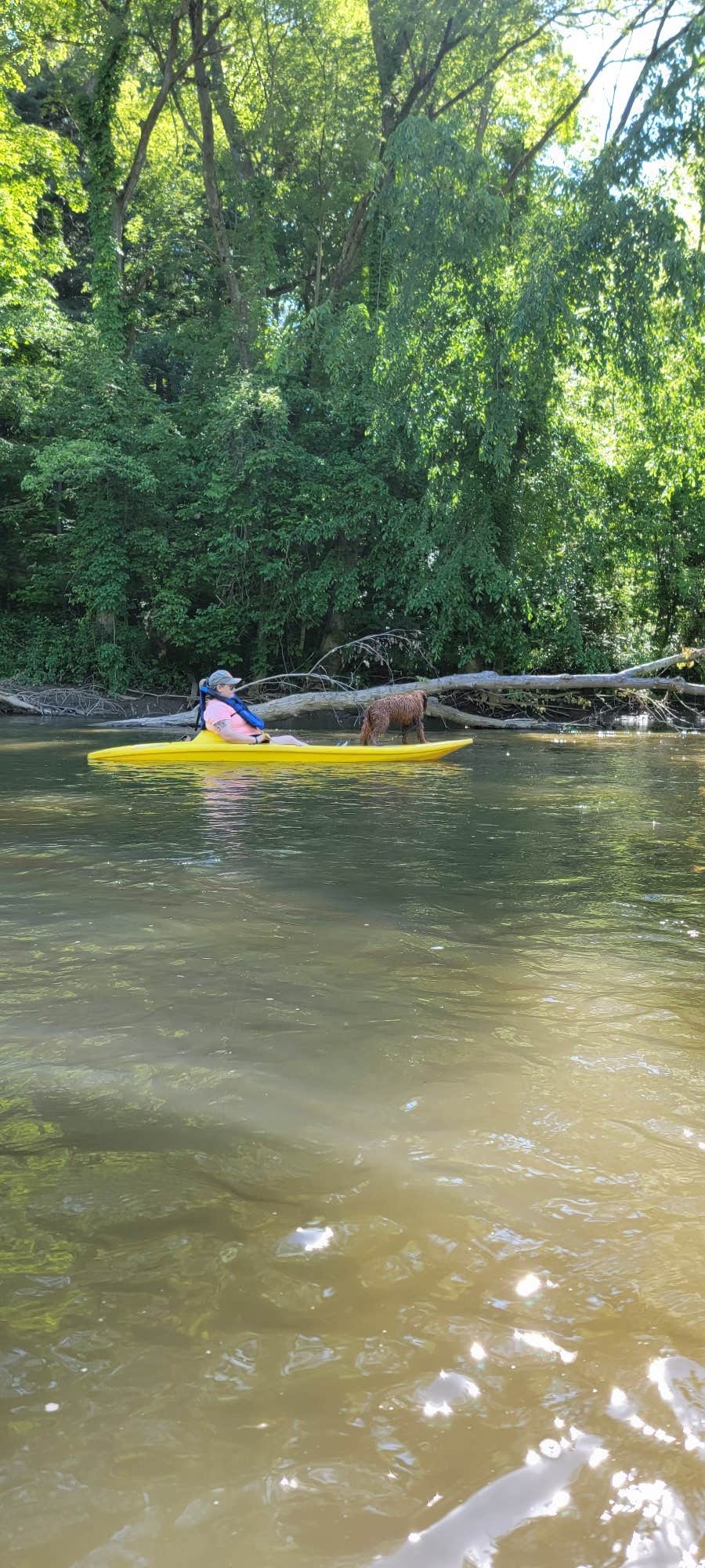 Hannah S.'s photo of camping with pets at Mohican Adventures Campground and Cabins near Coshocton, OH