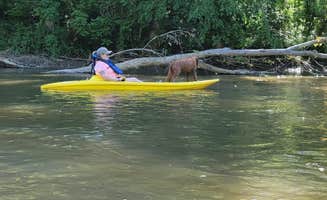 Hannah S.'s photo of camping with pets at Mohican Adventures Campground and Cabins near Greenwich, OH