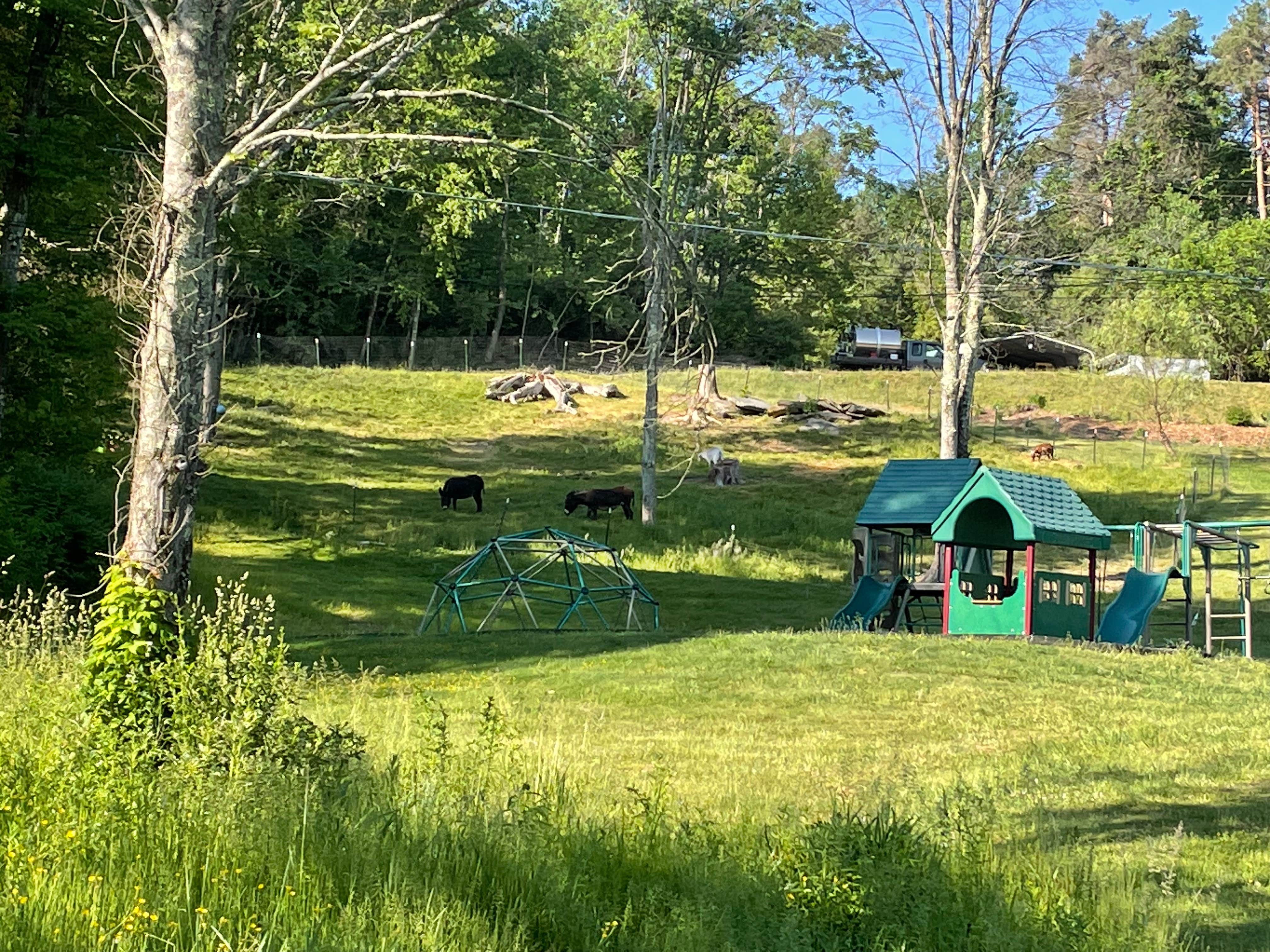 Camper-submitted photo at Stony MT Family Campground near Fleetville, PA