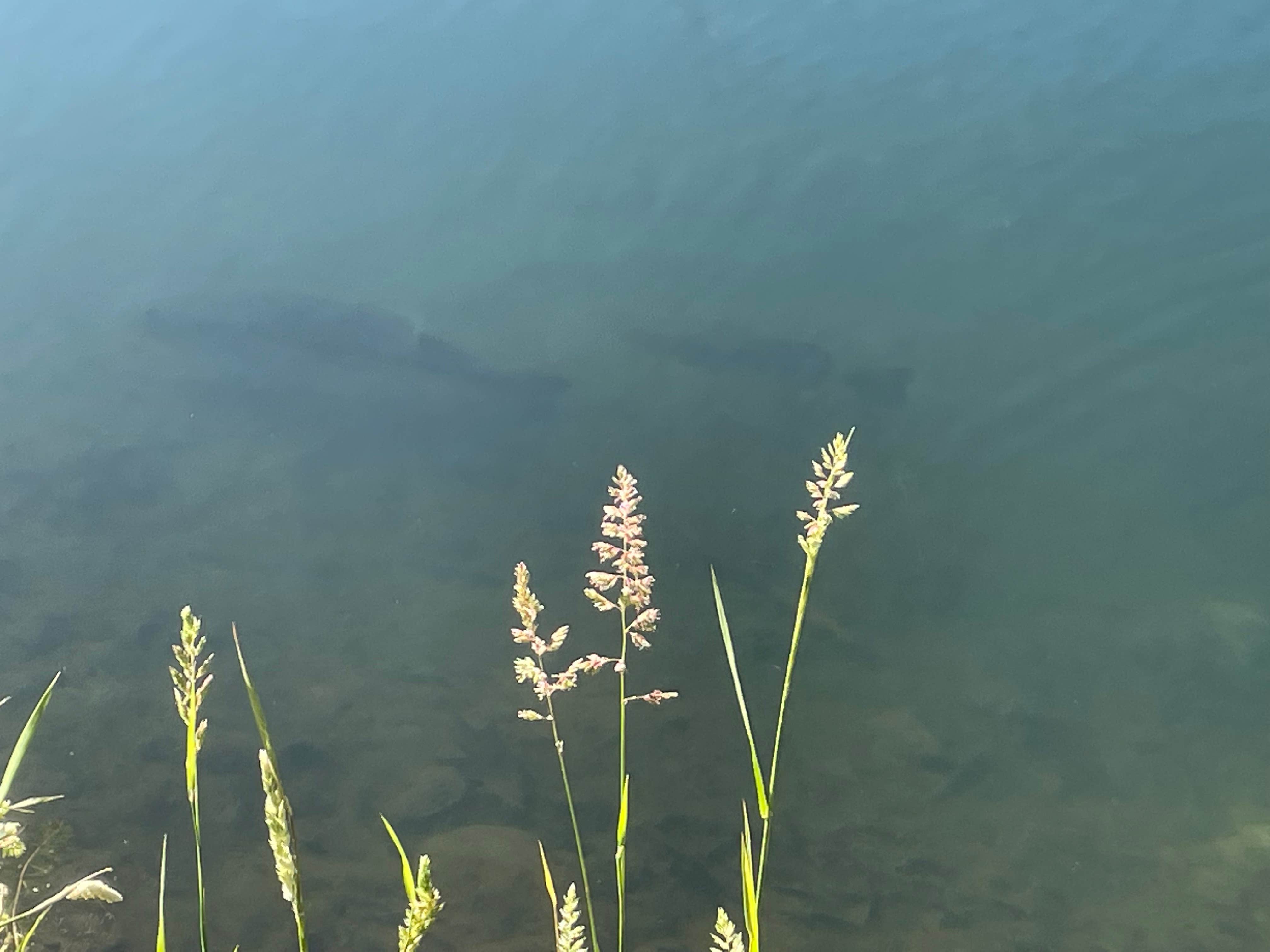 Camper-submitted photo at Stony MT Family Campground near Fleetville, PA