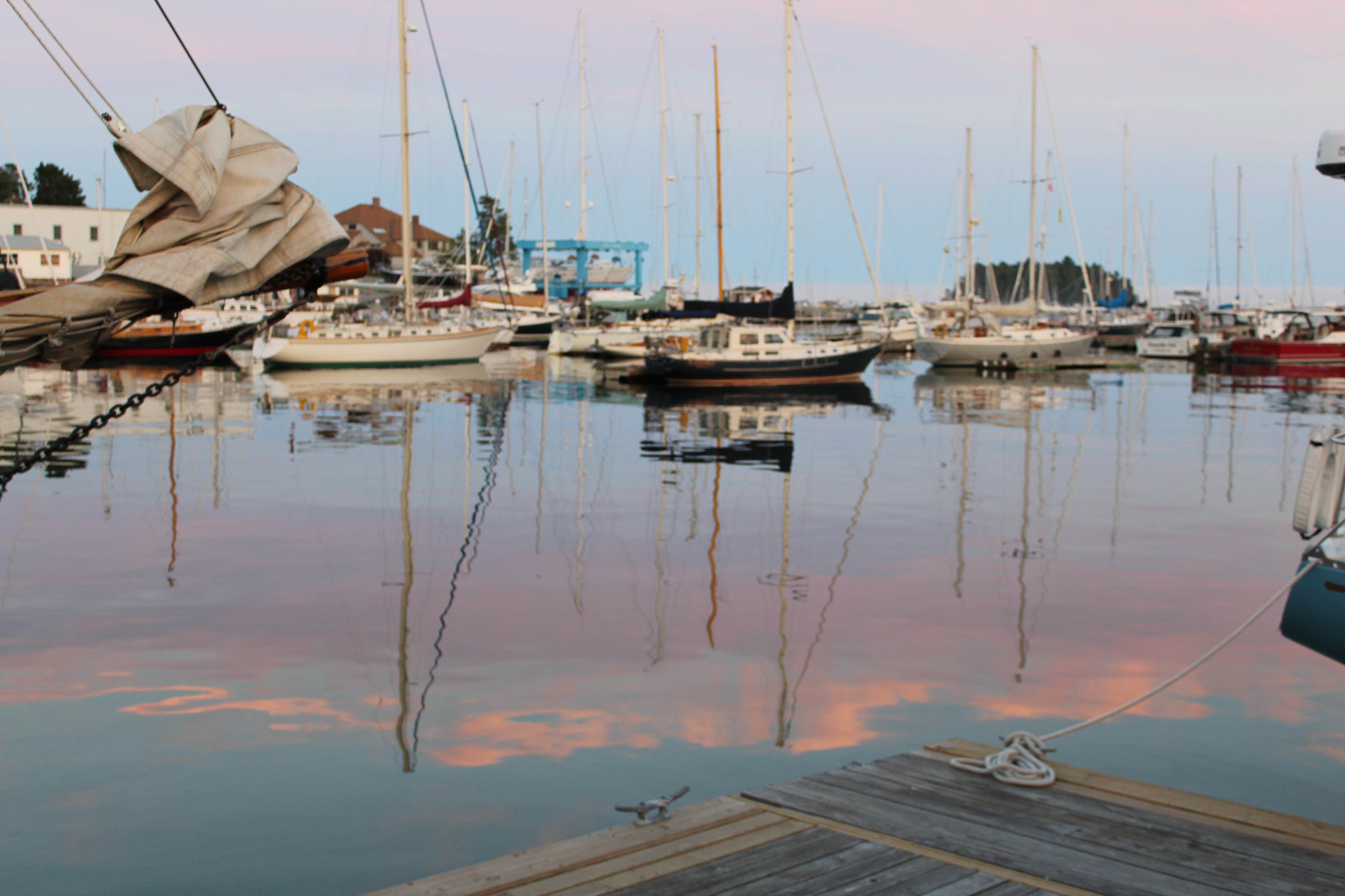 Camper-submitted photo at Northport Campground near Belfast, ME