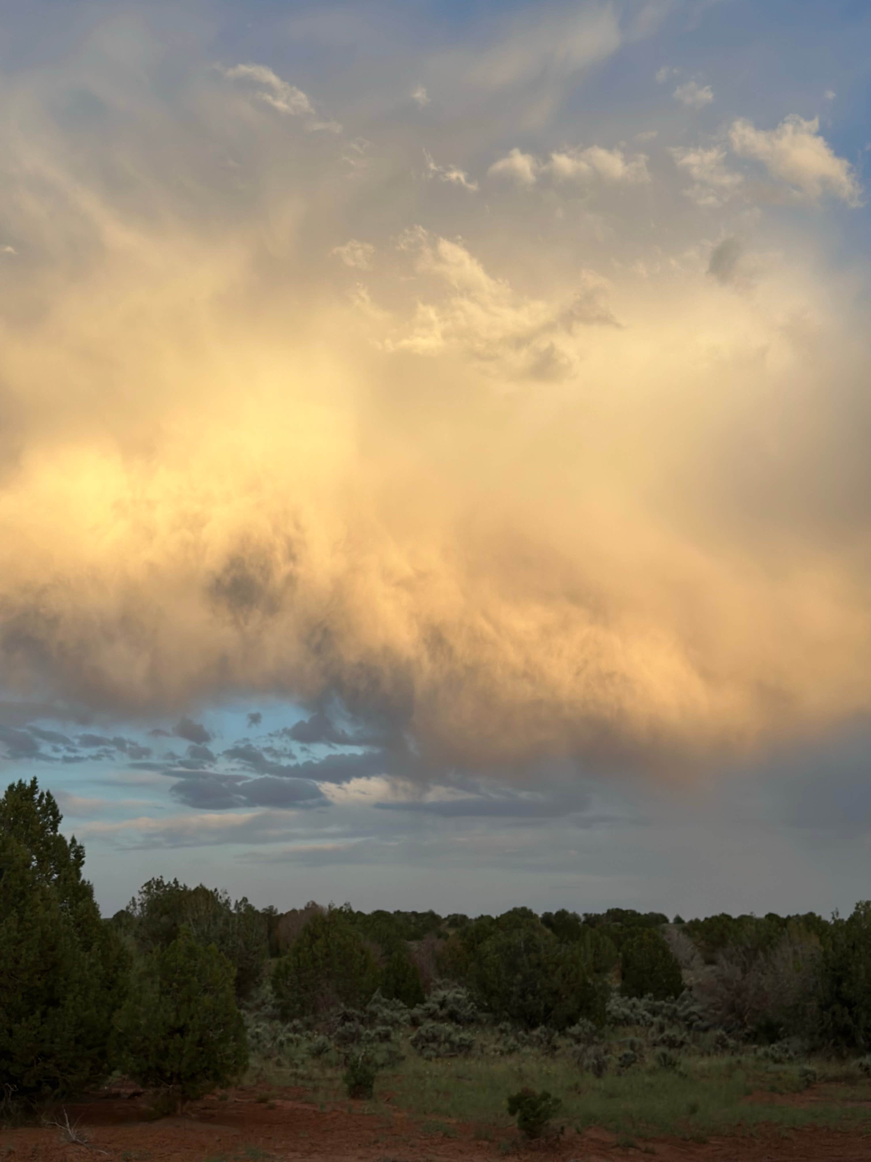 Camper-submitted photo at Kitchen Corral Wash Dispersed Site near Lake Powell, UT