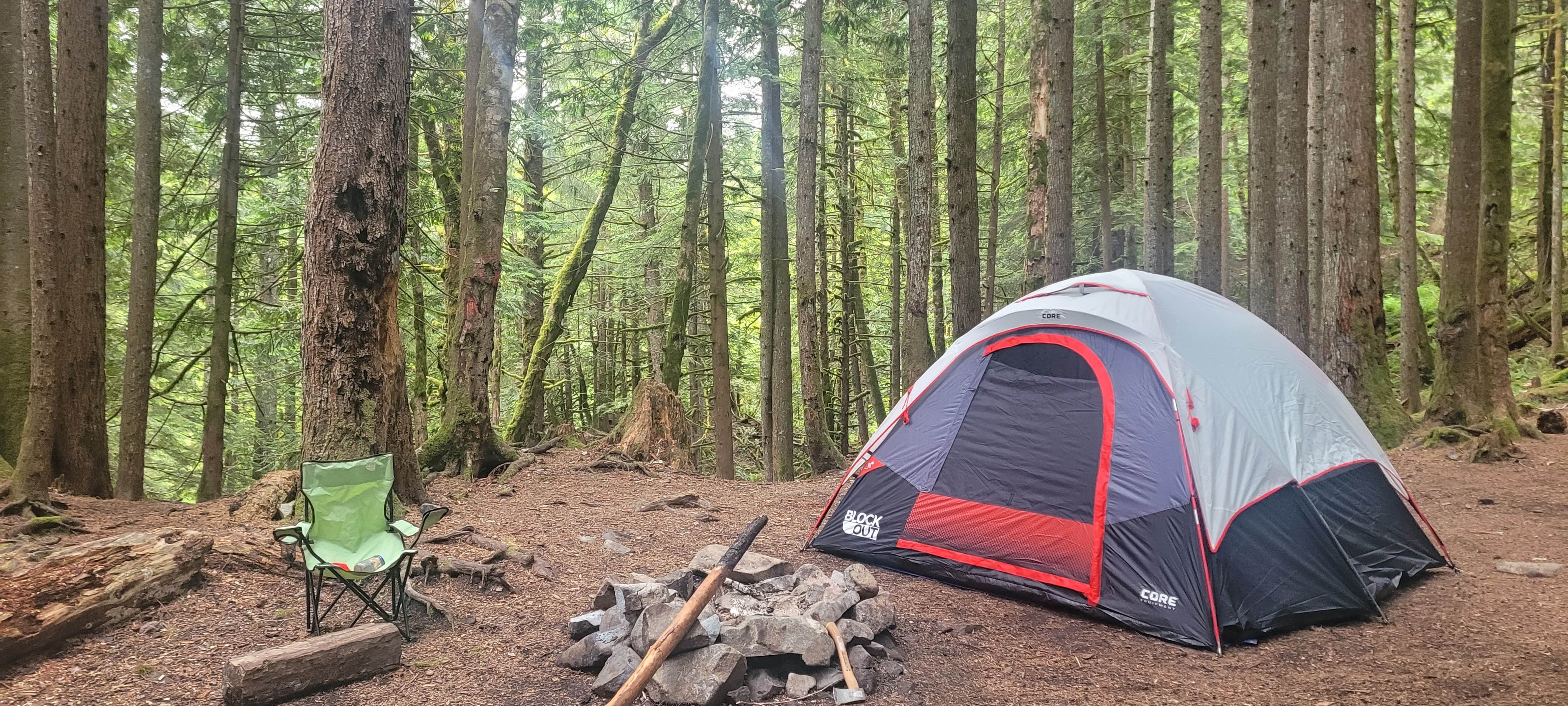 Mount Baker-Snoqualmie National Forest Tinkham Campground Camping | The ...