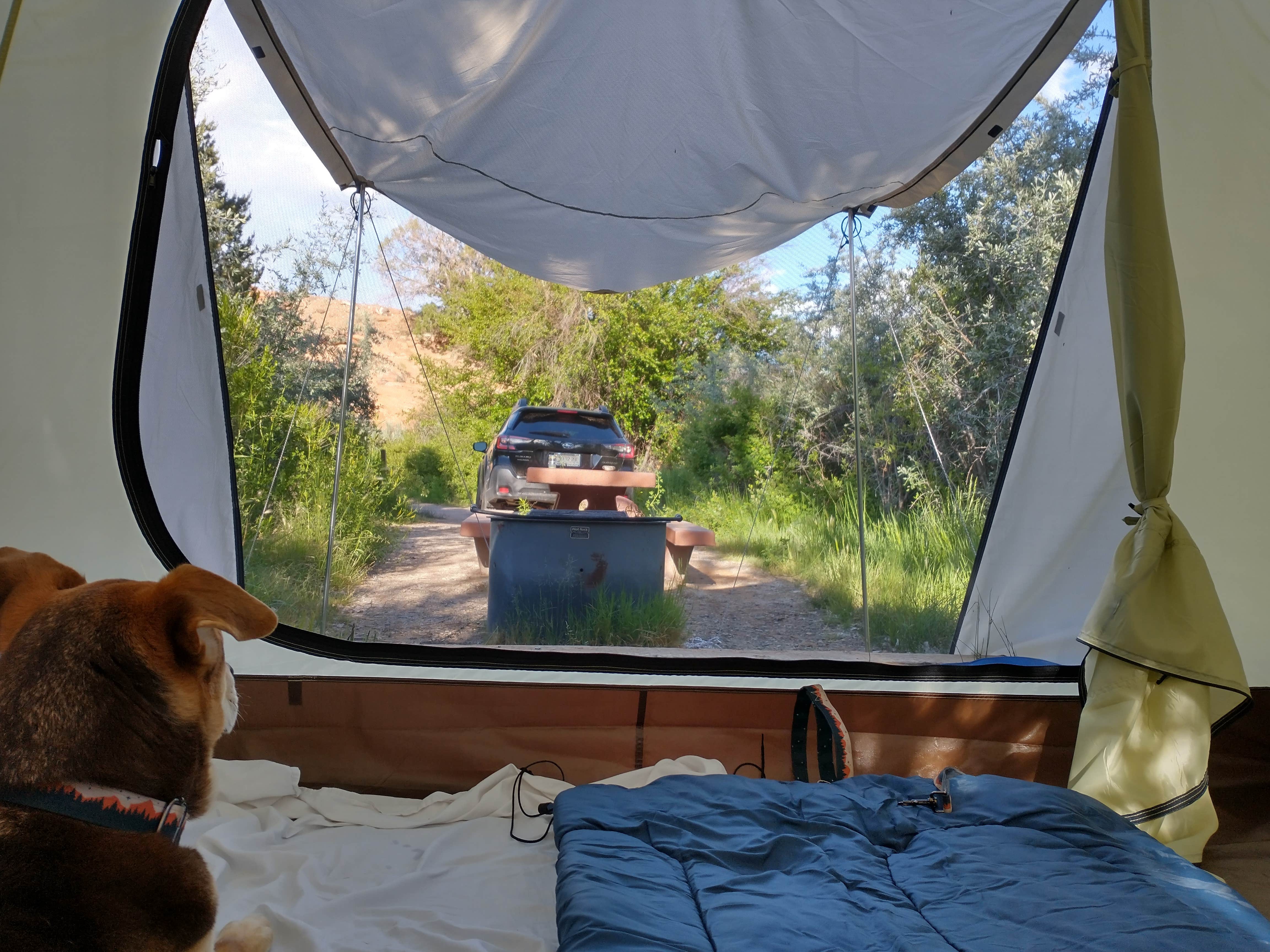 Camper submitted image from Deer Creek Campground - 5