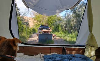 Meghan M.'s photo at Deer Creek Campground near Boulder, UT