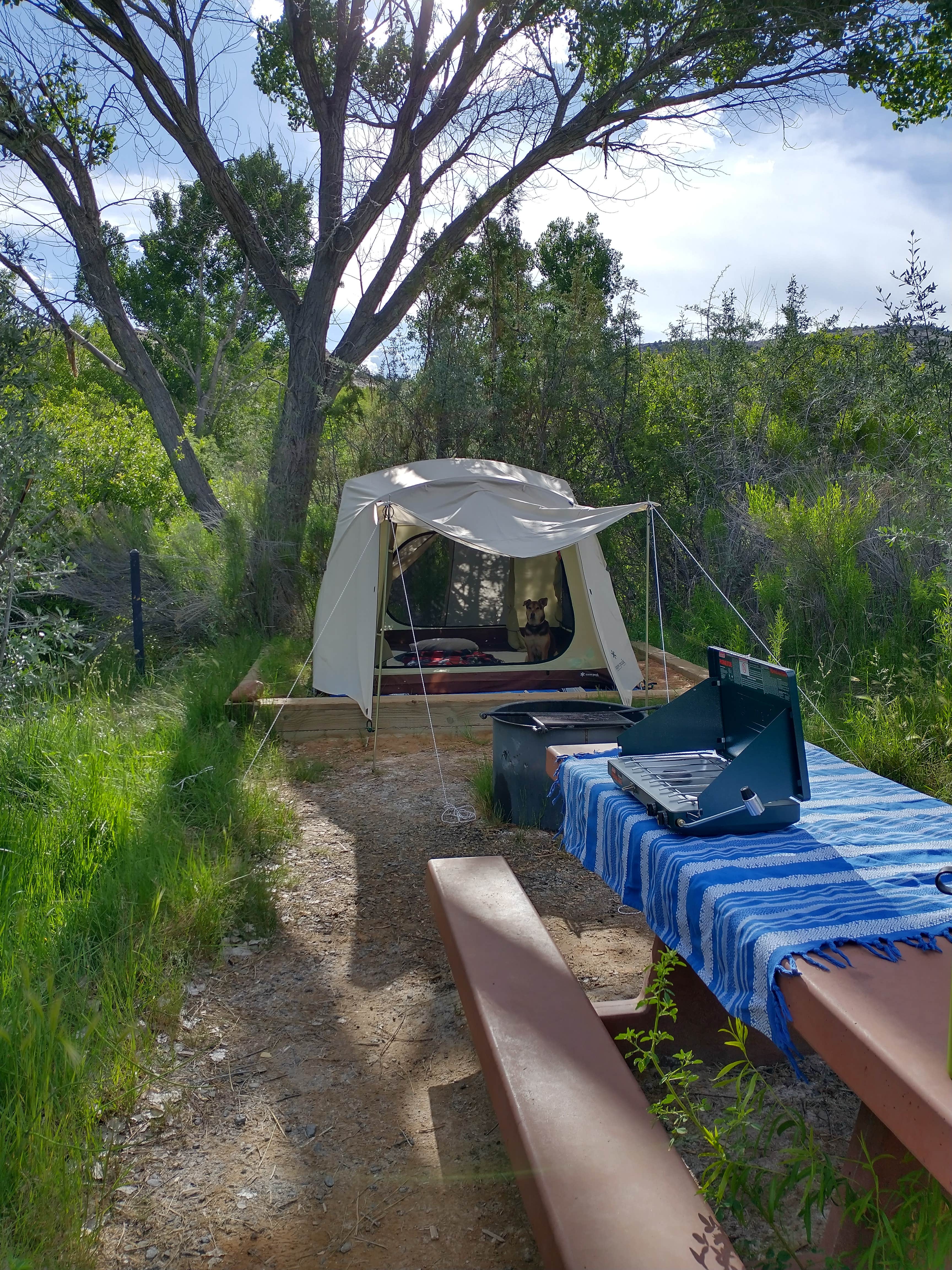 Camper-submitted photo at Deer Creek Campground near Boulder, UT