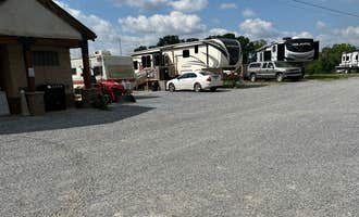 Camping near Gnome Hollow at Dixon Hill Farms, LLC: Share the farm , Greeneville, Tennessee