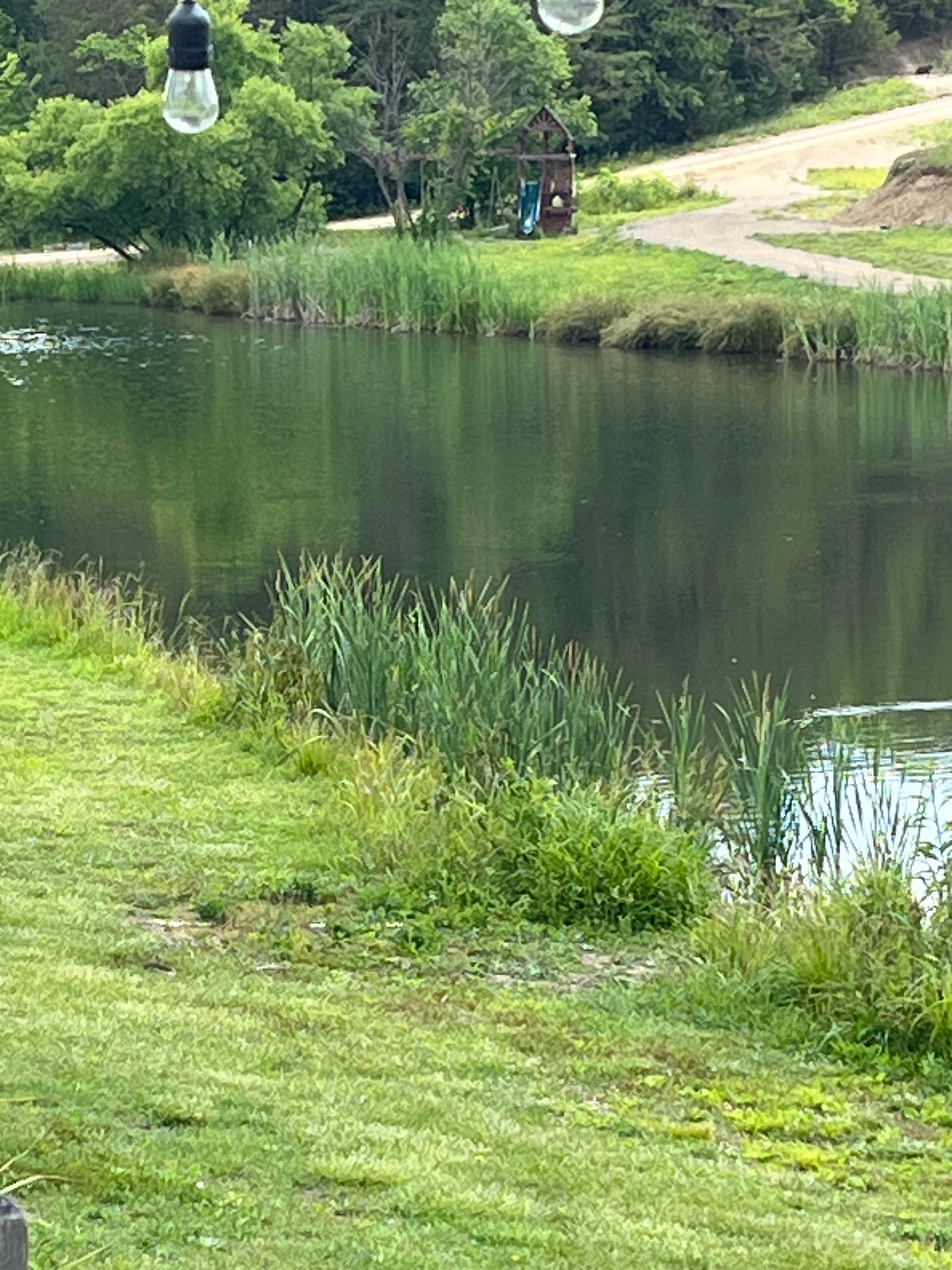 Camper-submitted photo at Share the farm near Greeneville, TN