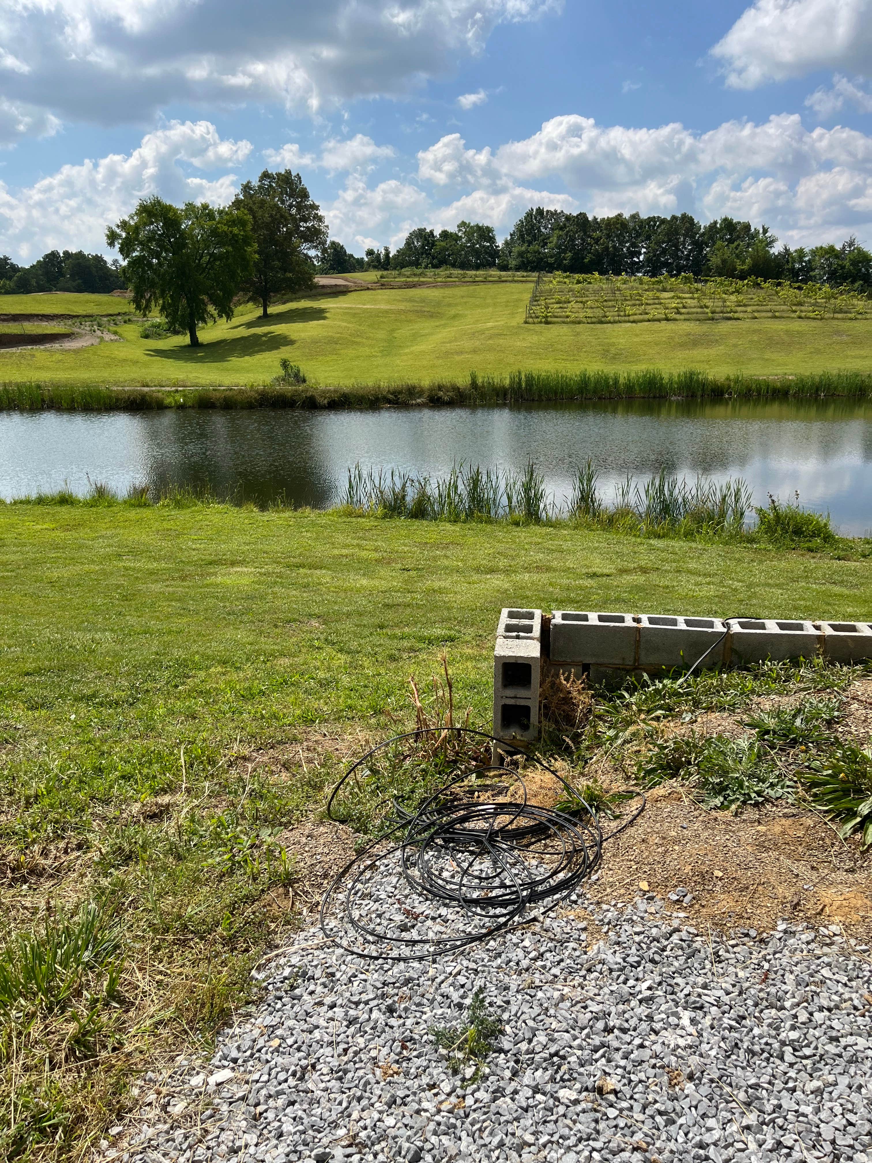 Camper-submitted photo at Share the farm near Greeneville, TN