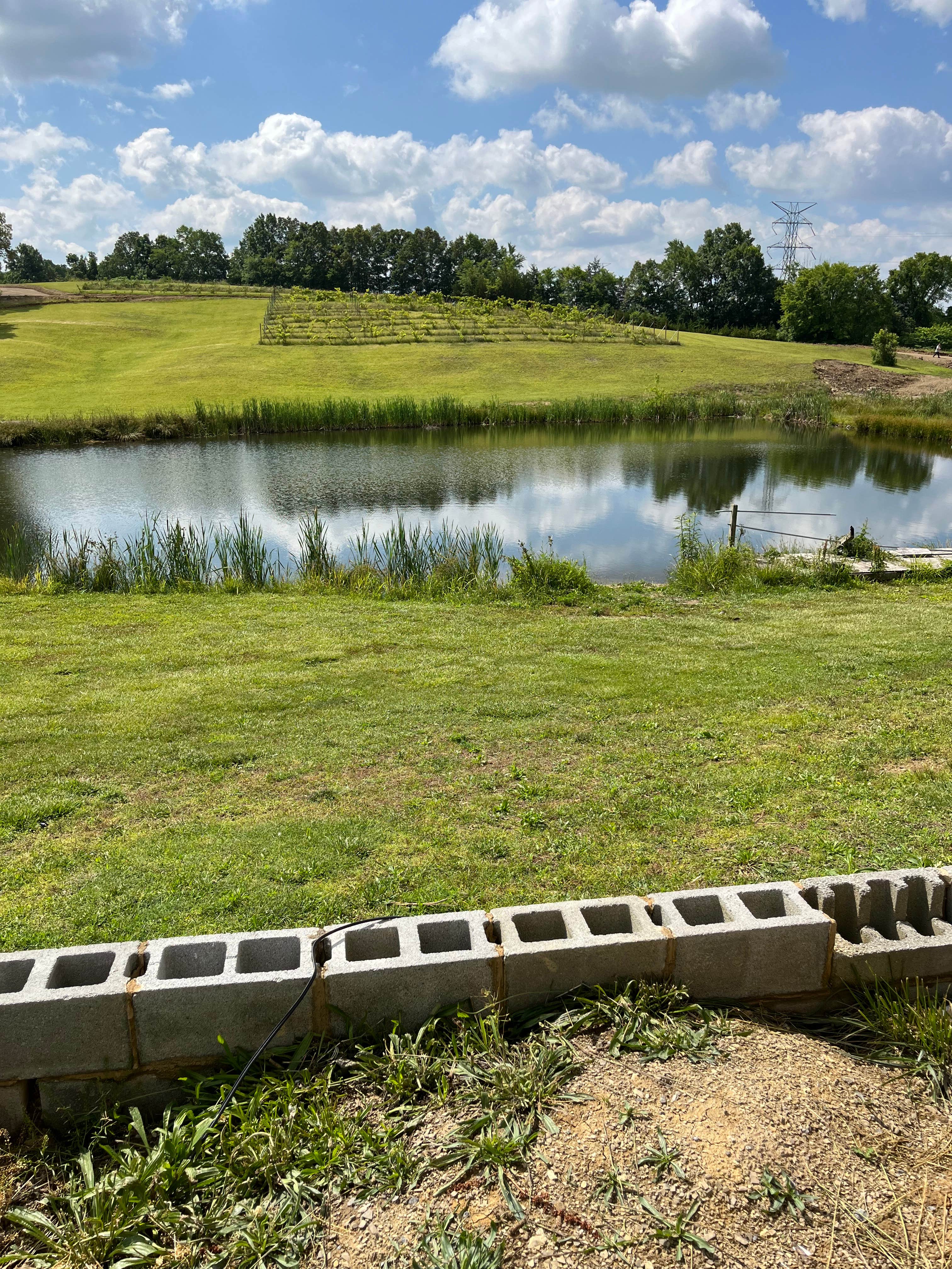 Camper-submitted photo at Share the farm near Greeneville, TN