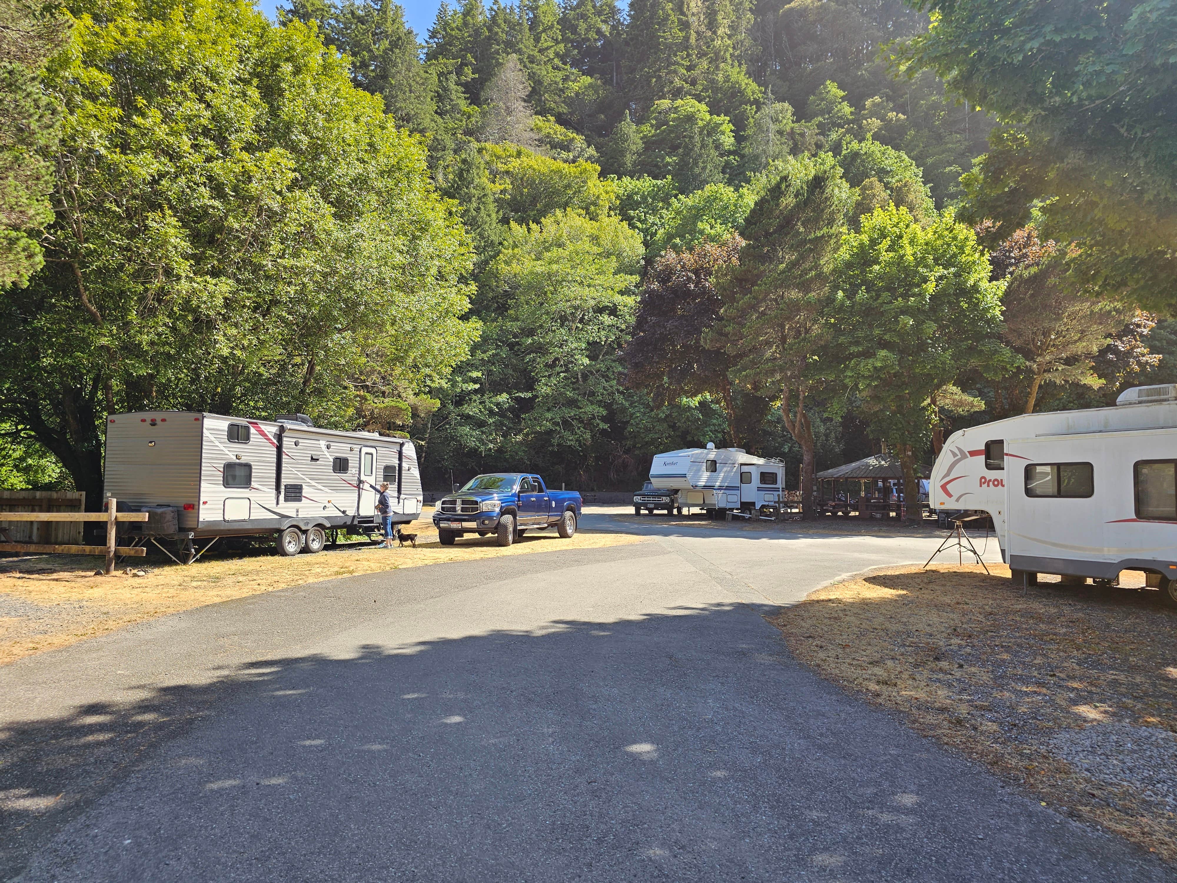 Mike E.'s photo of camping with pets at Indian Creek RV Park near Brookings, OR