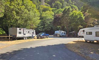 Mike E.'s photo of camping with pets at Indian Creek RV Park near Brookings, OR