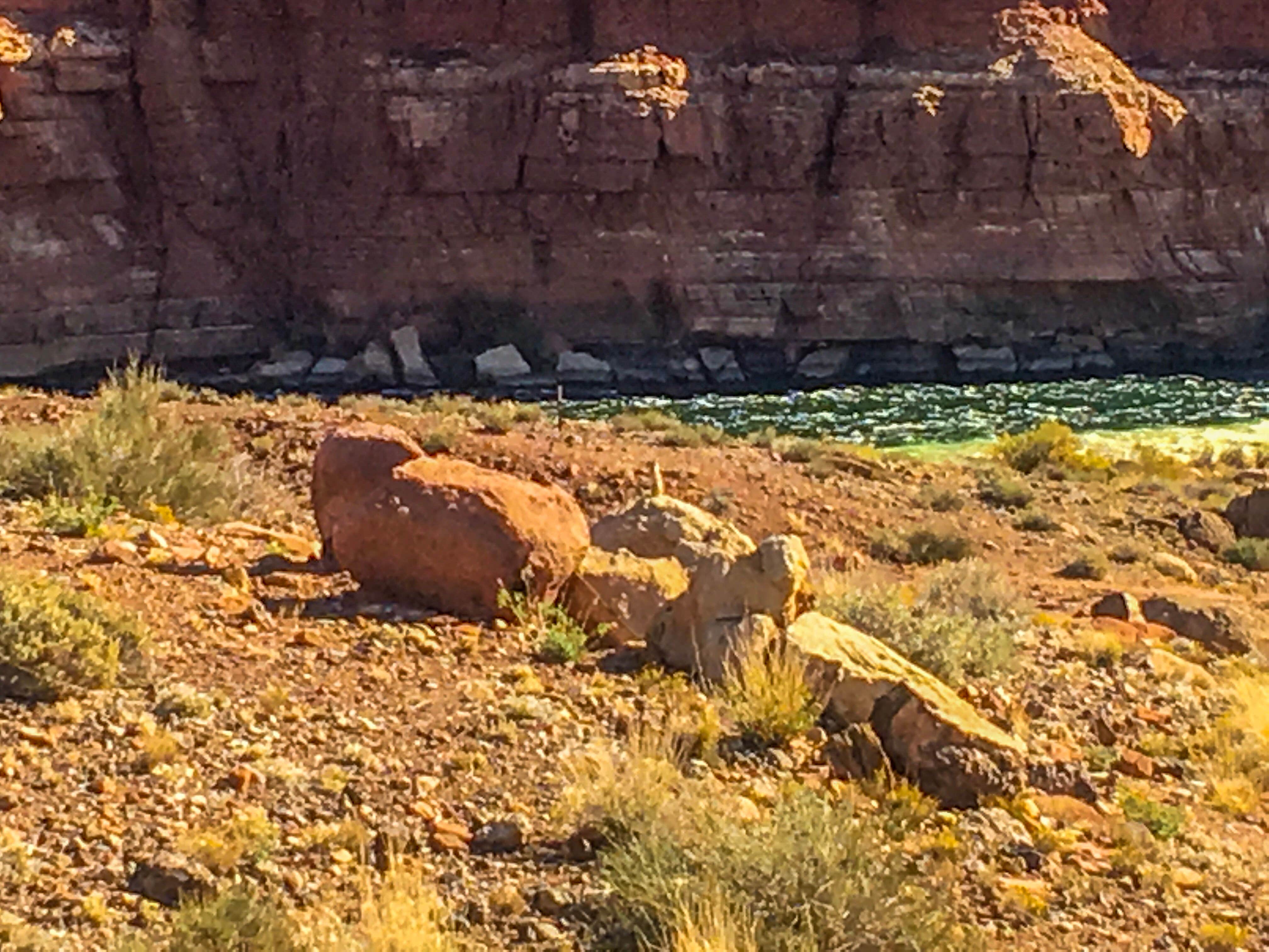 Camper-submitted photo at Lees Ferry Campground — Glen Canyon National Recreation Area near Page, AZ