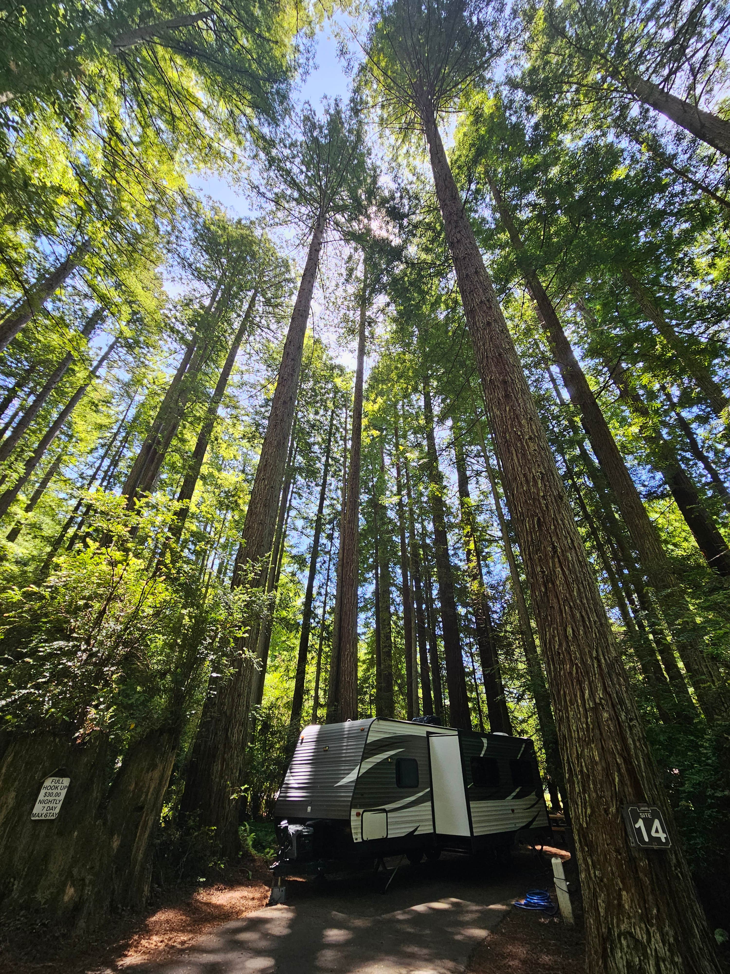Mike E.'s photo at Florence Keller Regional Park near Gasquet, CA