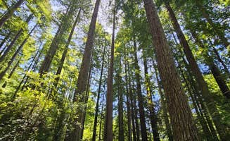 Mike E.'s photo at Florence Keller Regional Park near Smith River, CA