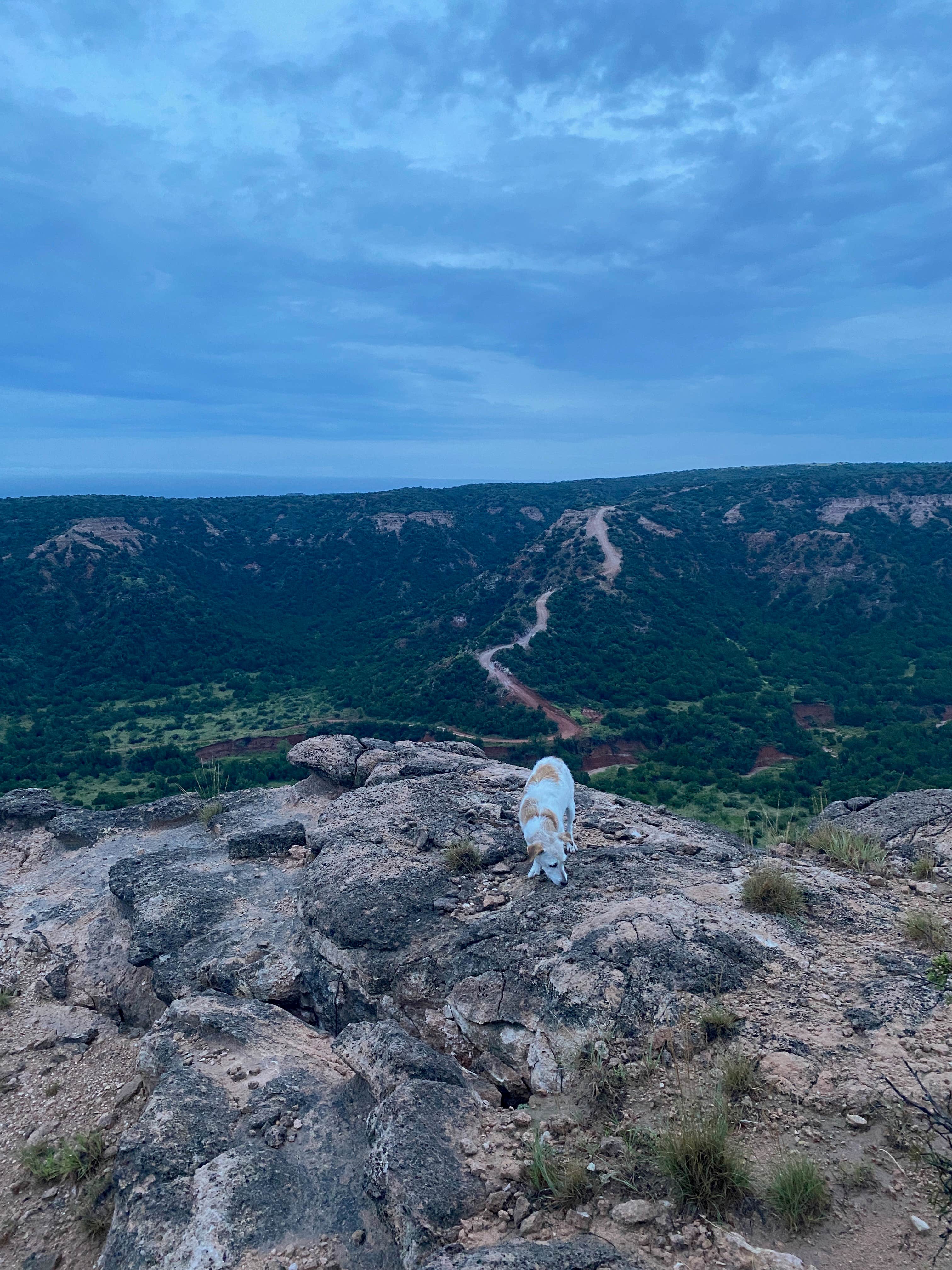 Peter N.'s photo of camping with pets at MERUS Adventure near McClellan Creek National Grassland