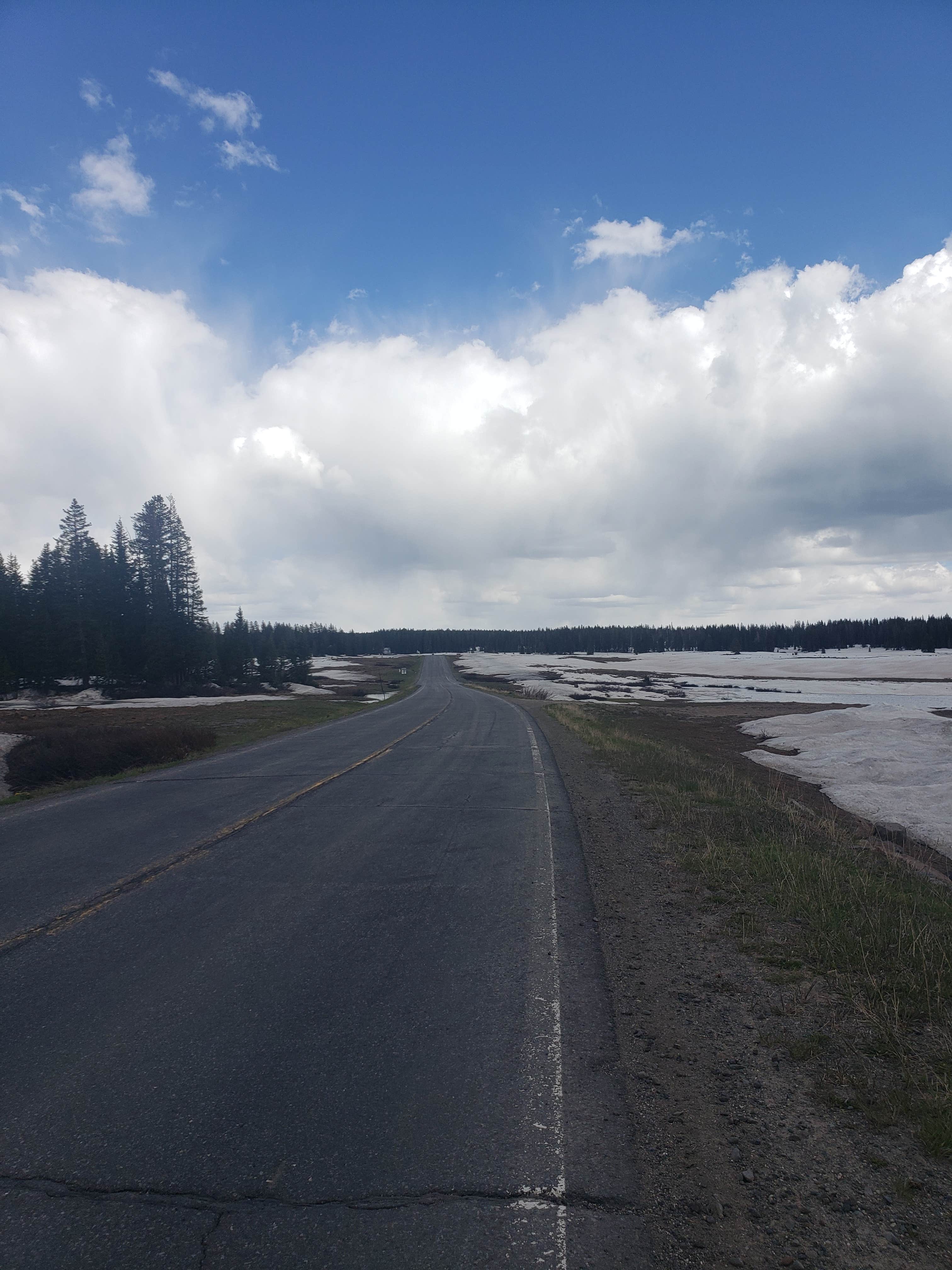 Camper-submitted photo at Last Dollar Road #2 near Norwood, CO