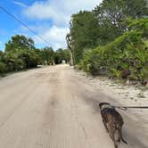 Review photo of North Beach Camp Resort by Tim H., June 16, 2023