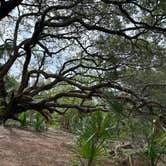 Review photo of North Beach Camp Resort by Tim H., June 16, 2023