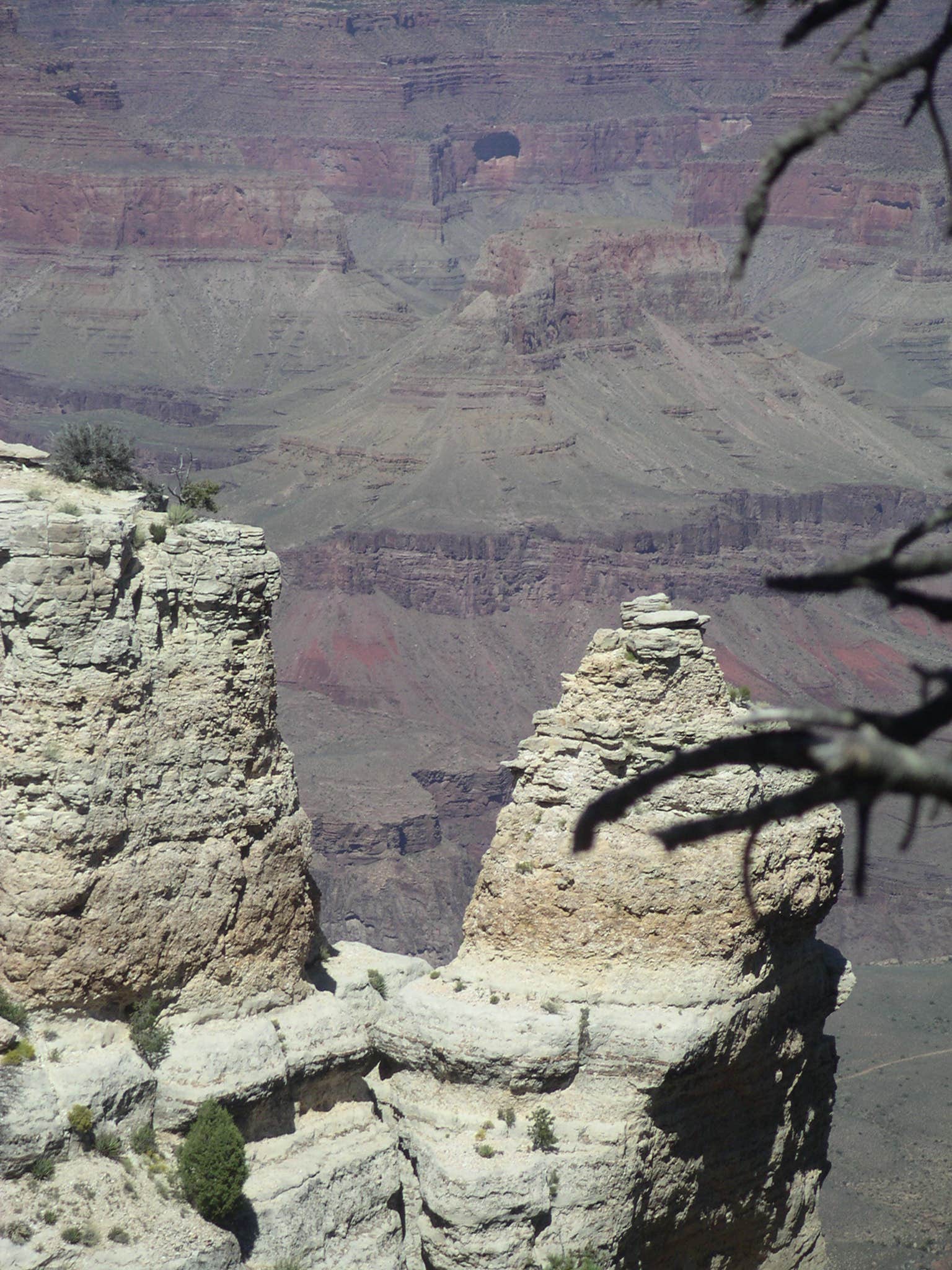 Camper submitted image from Grand Canyon-Williams KOA - 2