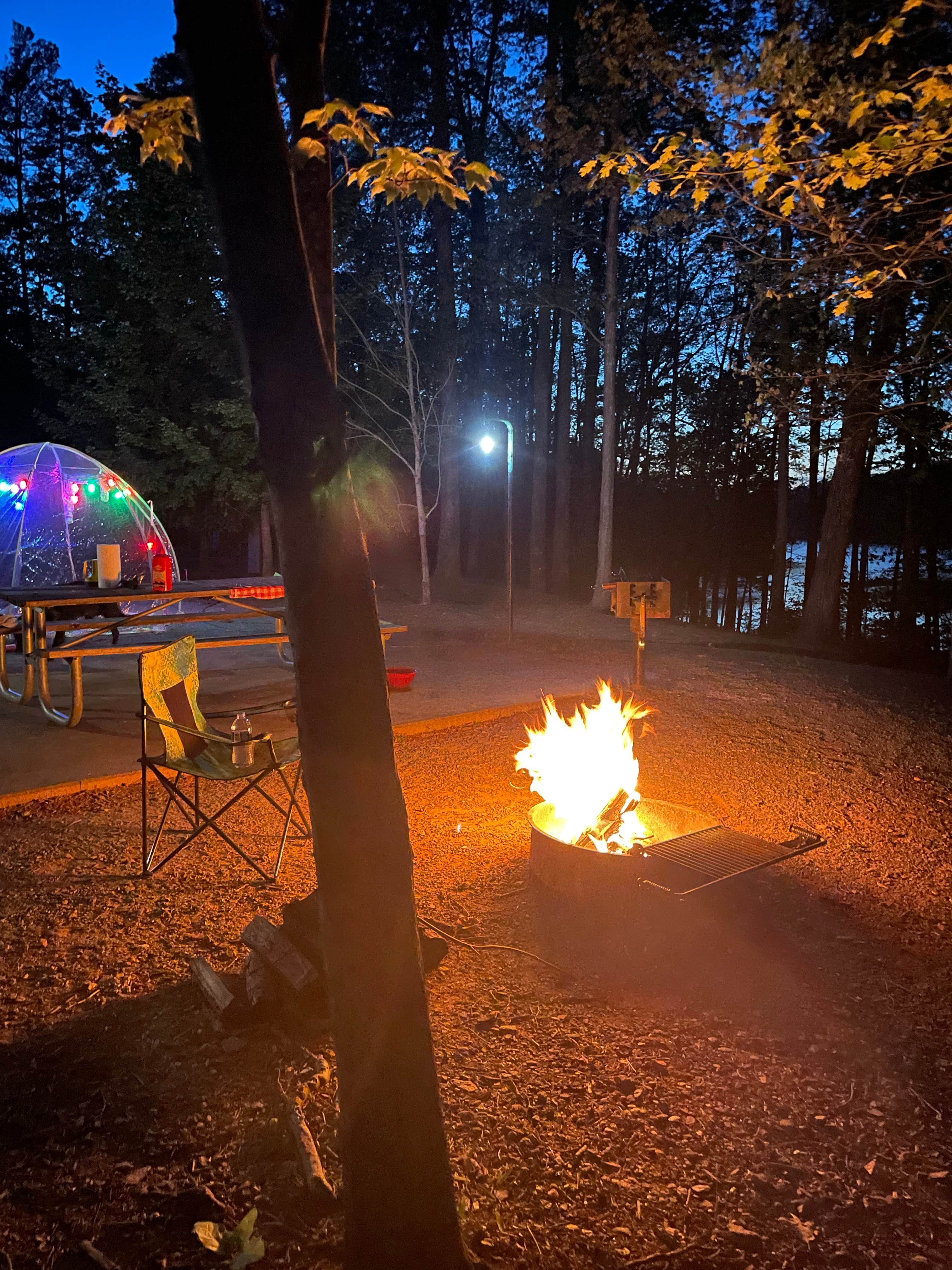 Donnaigifford  G.'s photo at Morganton Point Campground near Mineral Bluff, GA