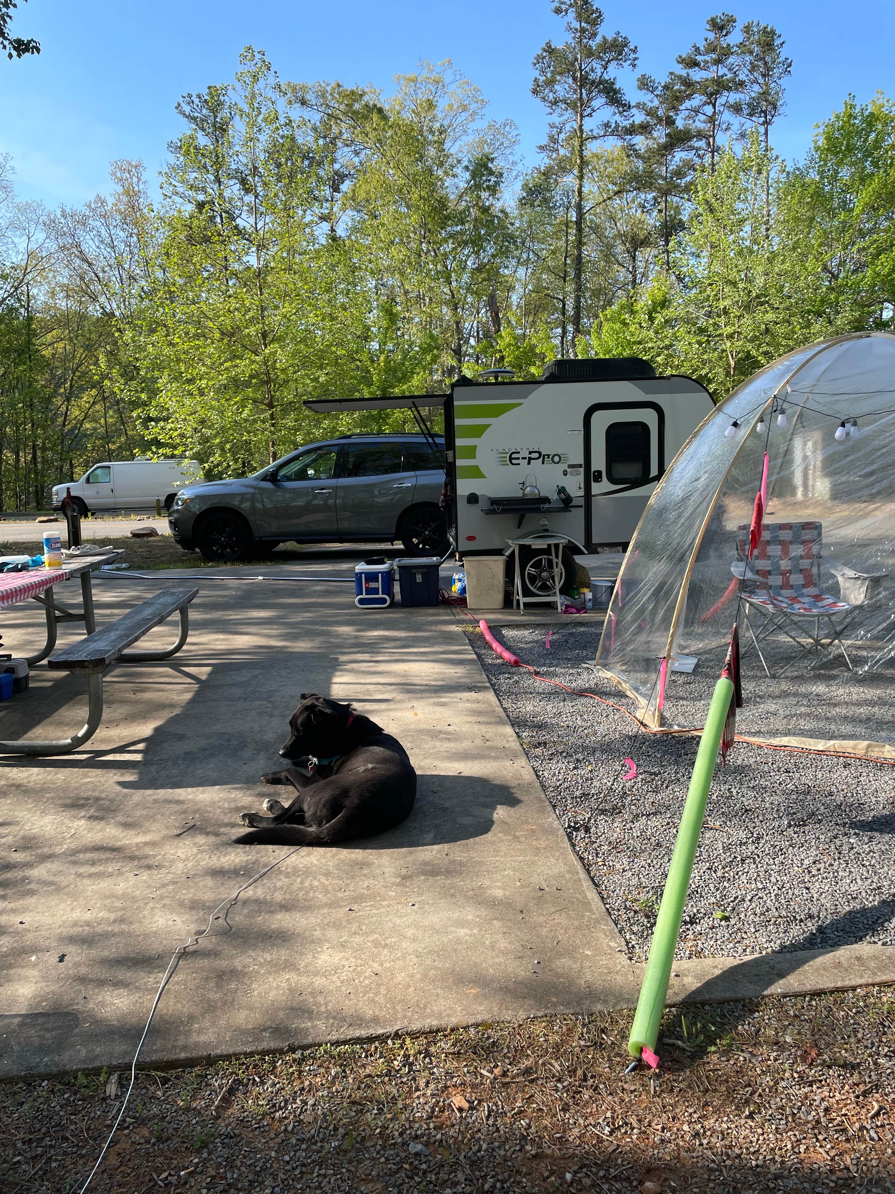 Donnaigifford  G.'s photo of camping with pets at Morganton Point Campground near Tusquitee National Forest