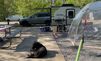 Donnaigifford G.'s photo at Morganton Point Campground near Epworth, GA
