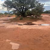 Review photo of BLM Tibbetts Arch Road Dispersed Camping by cindy , June 16, 2023