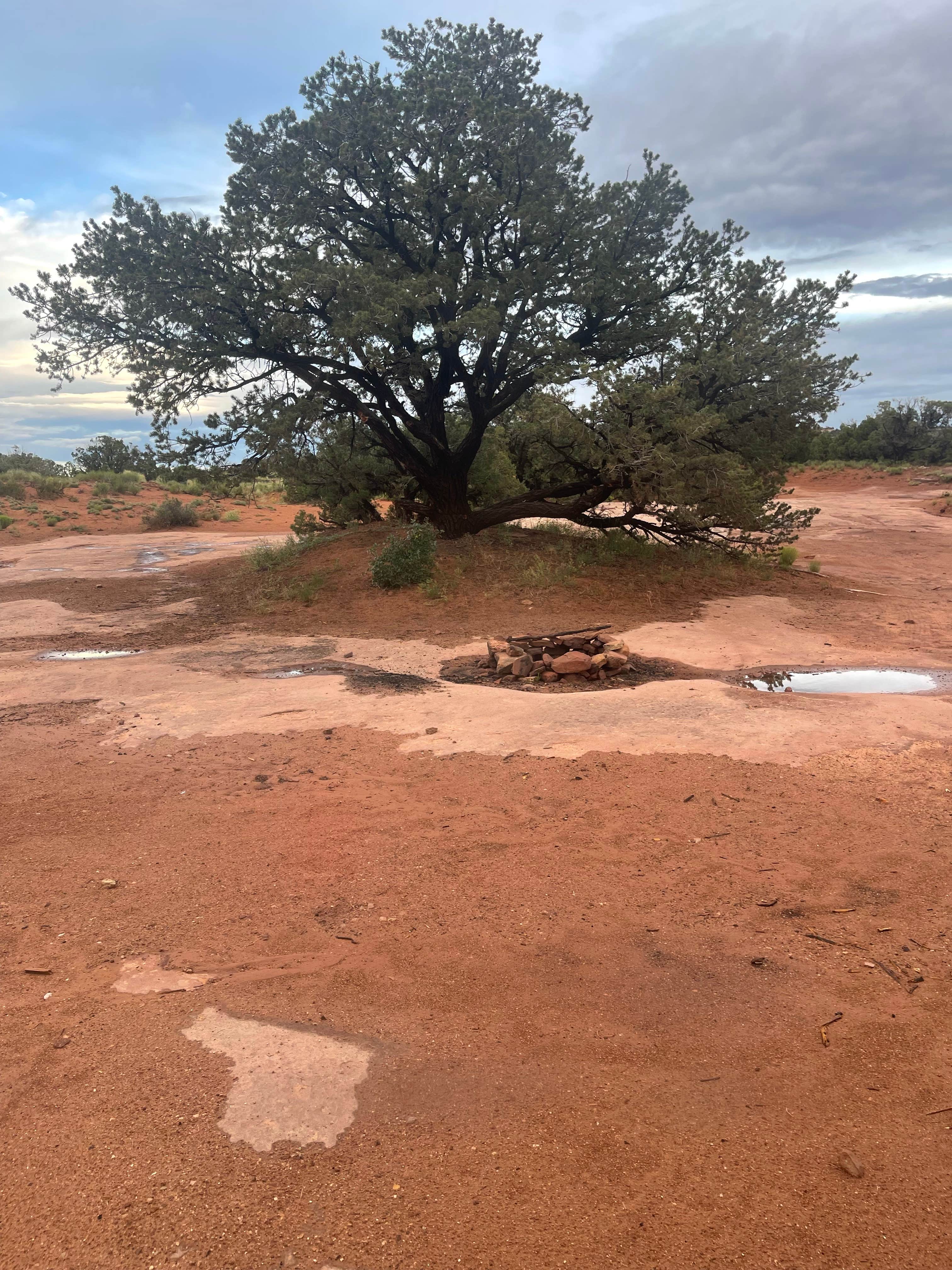 Camper submitted image from BLM Tibbetts Arch Road Dispersed Camping - 1