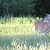 Review photo of Fort Abraham Lincoln State Park Campground by Joel R., October 16, 2018