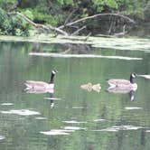 Review photo of Shabbona Lake State Recreation Area by Joel R., October 16, 2018