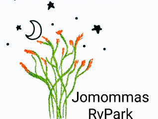 Camper-submitted photo at Jomommas Rv Park near Terlingua, TX