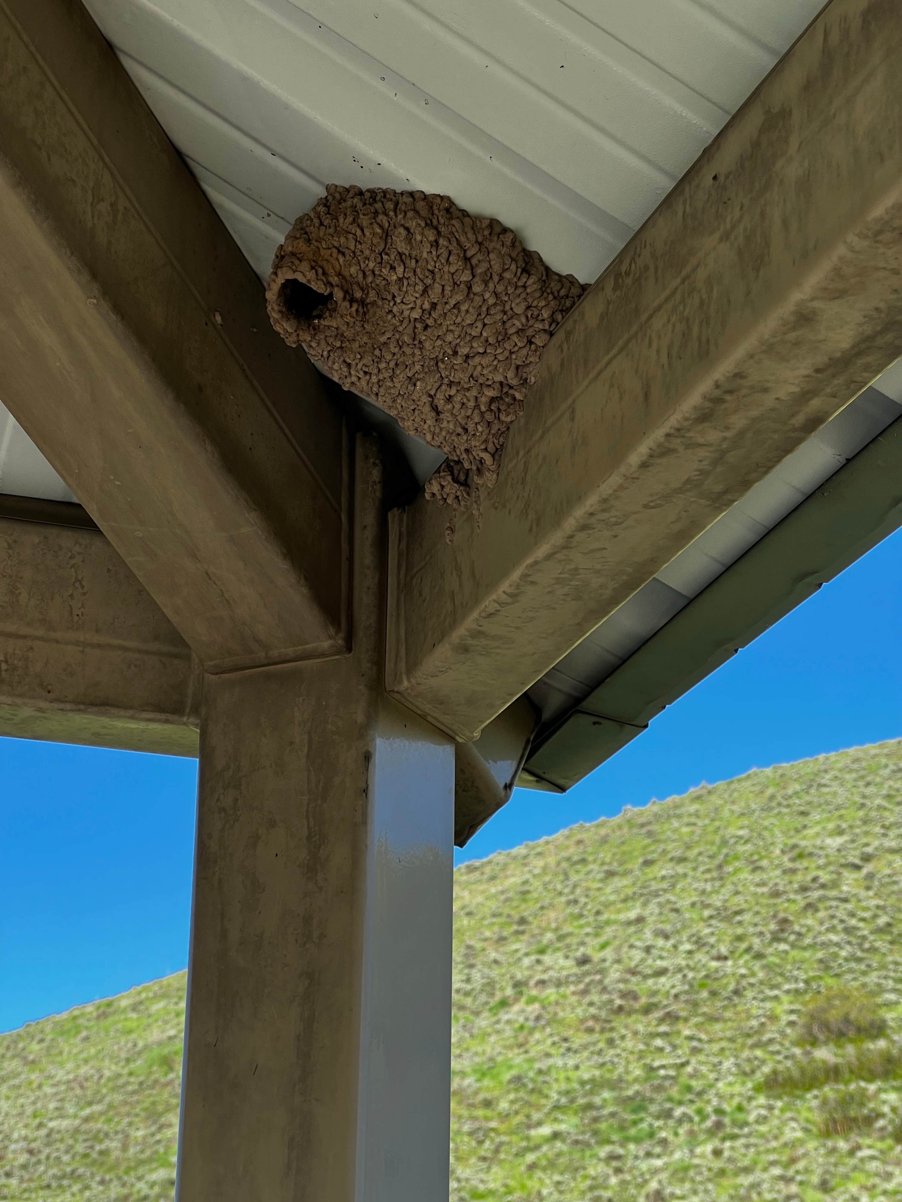 Camper-submitted photo at Big Rock Campground — East Canyon State Park near Murray, UT