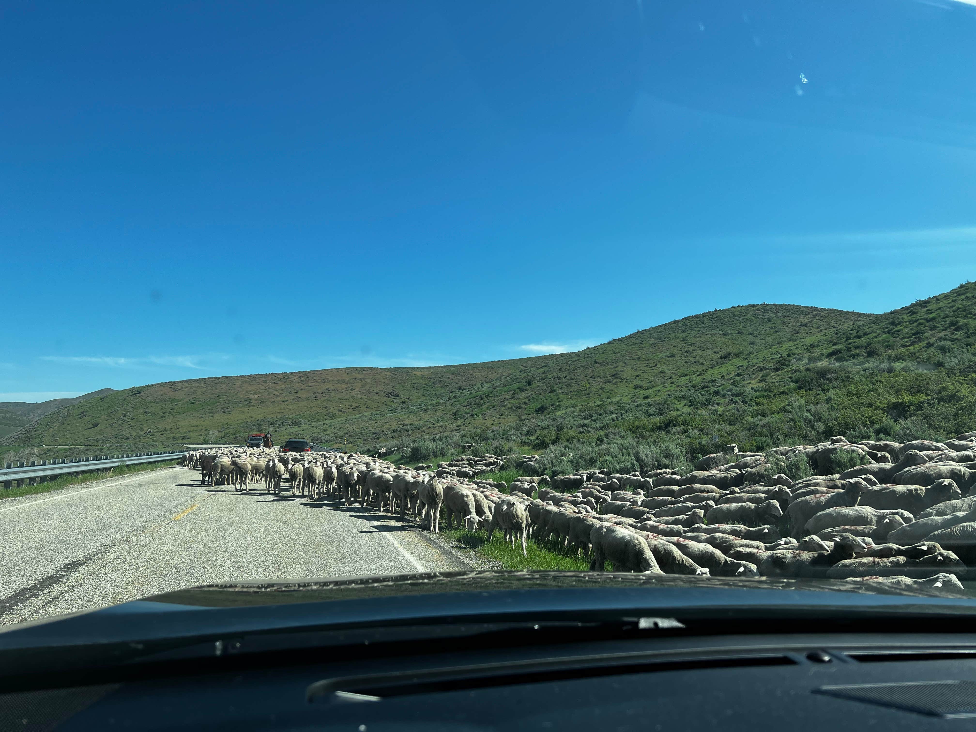 Camper-submitted photo at Big Rock Campground — East Canyon State Park near Murray, UT