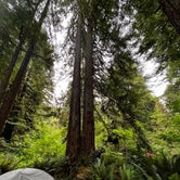 Review photo of Mill Creek Campground — Del Norte Coast Redwoods State Park by Kalli W., June 16, 2023