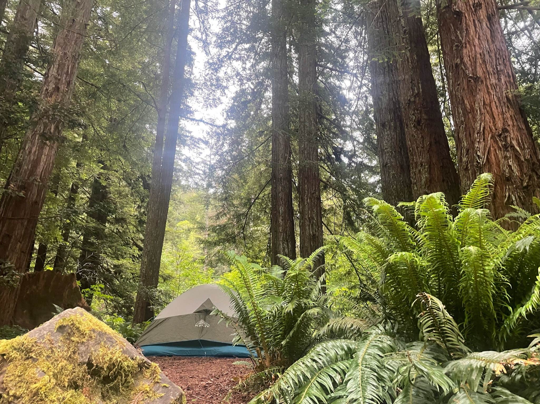 Kalli W.'s photo at Mill Creek Campground — Del Norte Coast Redwoods State Park near Klamath, CA
