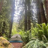 Review photo of Mill Creek Campground — Del Norte Coast Redwoods State Park by Kalli W., June 16, 2023