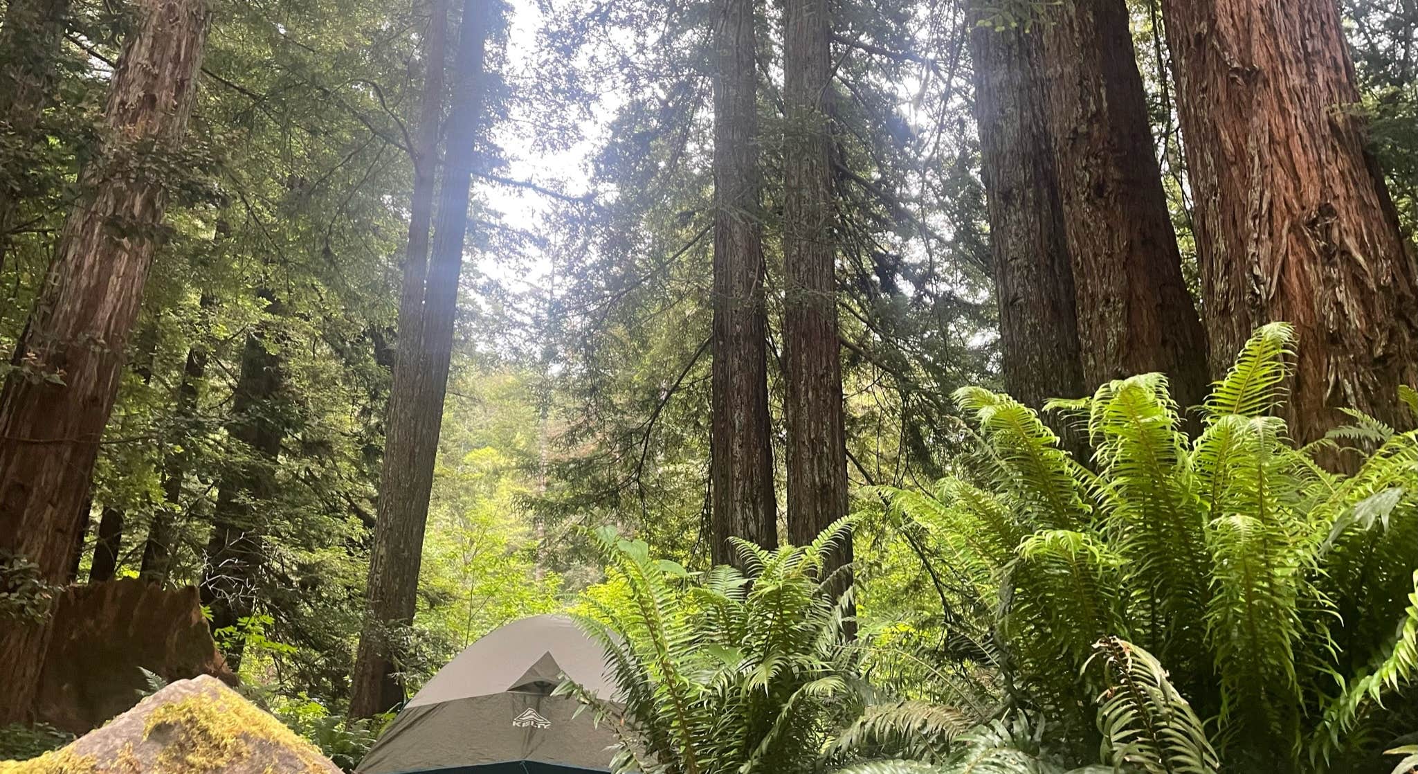 Tent Camping near Mill Creek Campground in Del Norte Coast Redwoods State Park