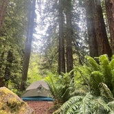 Review photo of Mill Creek Campground — Del Norte Coast Redwoods State Park by Kalli W., June 16, 2023